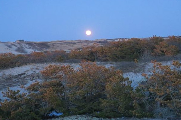 Dunes Shack Residencies