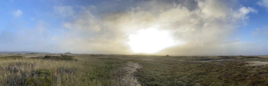 Sunset on the Dunes