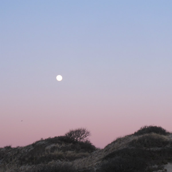 Dune Shack Residencies Open For 2022