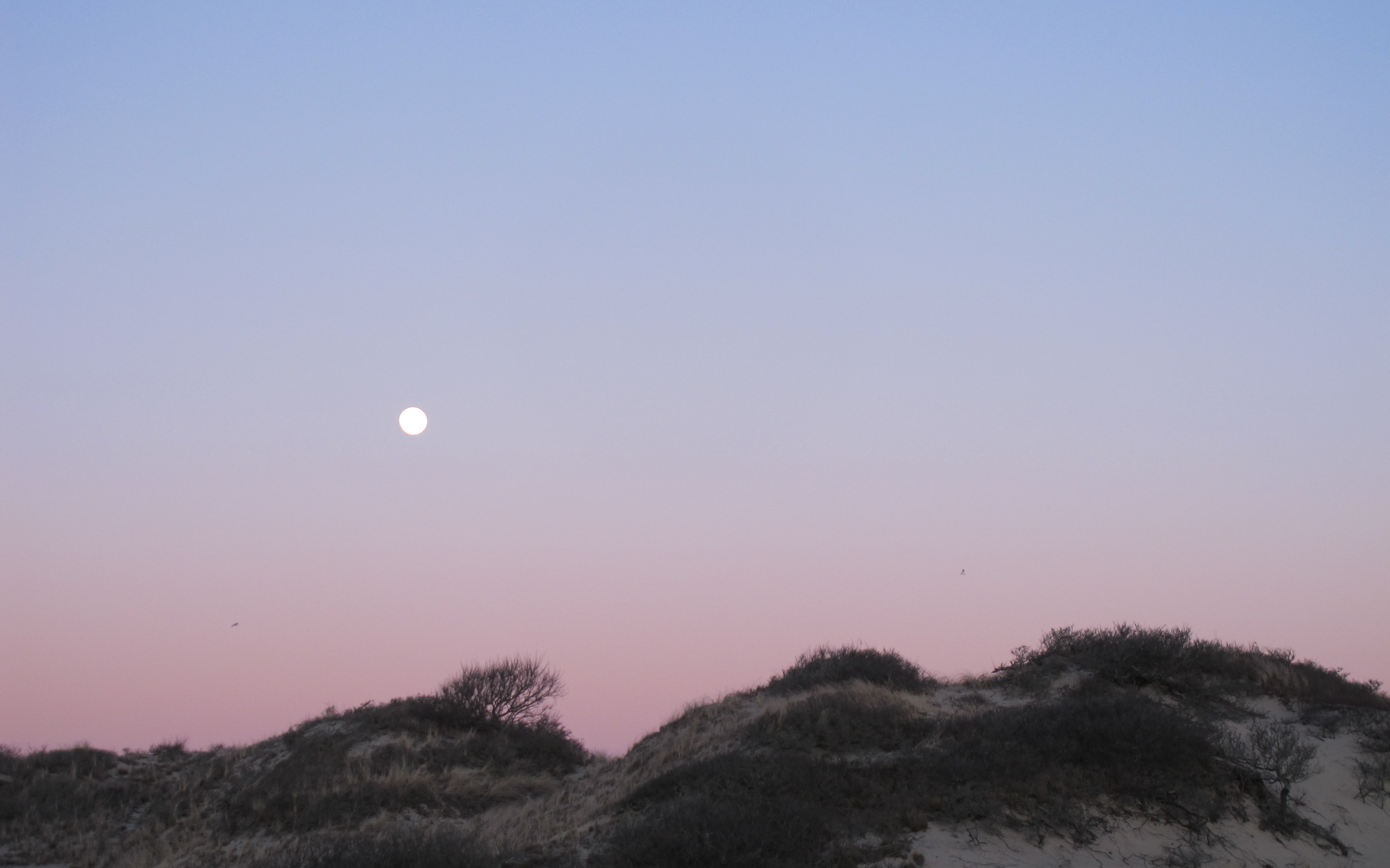 Dunes Shack Residencies