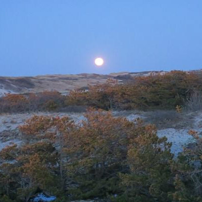 Dune Shack Residency